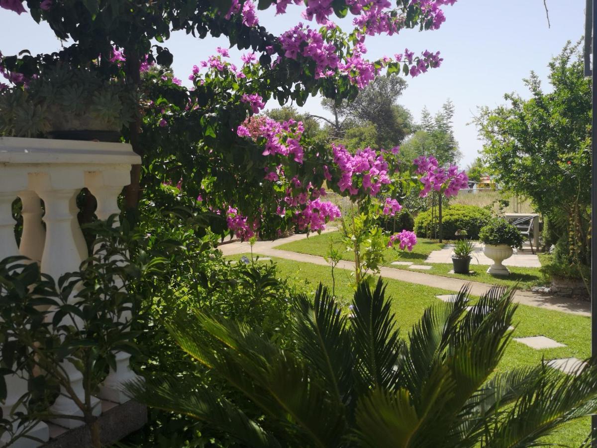 Apartments Daniela Водице Экстерьер фото